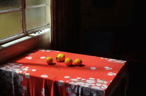 Visuel de l'exposition "Tentativa de esgotamento" représentant une photo d'une table avec une nappe, sur laquelle soont posés quatre citrons.