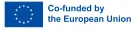 Co-financé par l’Union Européenne