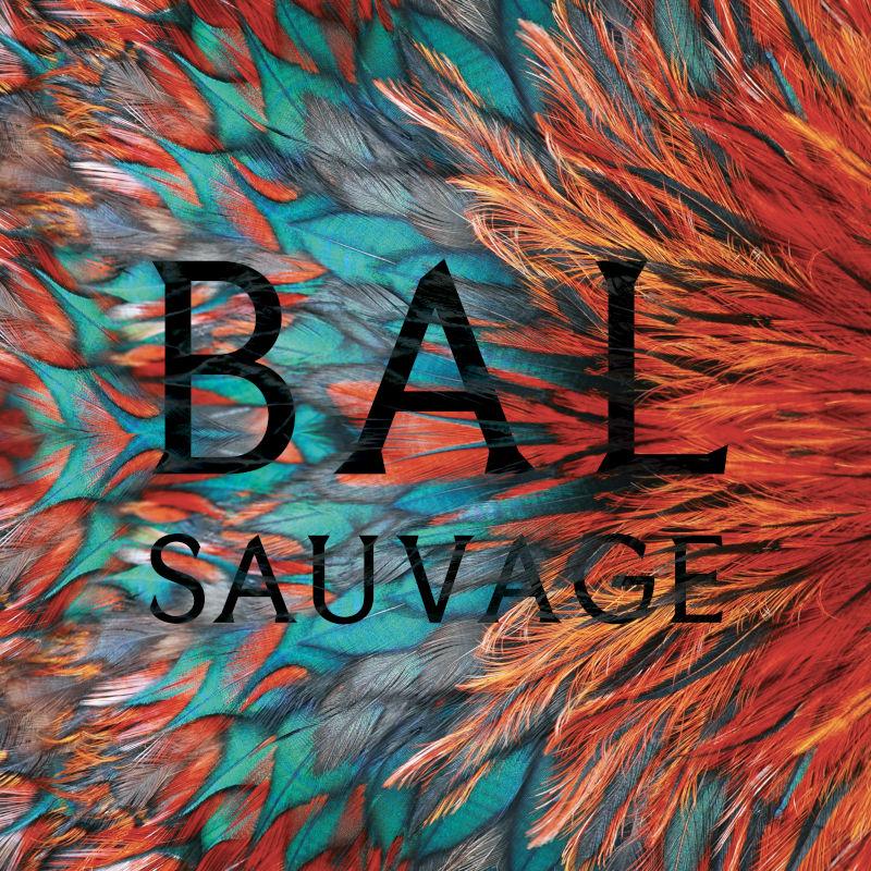 Visuel de l'exposition "Bal sauvage" aux couleurs dominantes de rouge et bleu.